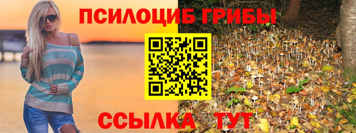 Галлюциногенные грибы прущие грибы  где купить   Вход с VPN  Северобайкальск  Псилоцибиновые грибы GOLDEN TEACHER 