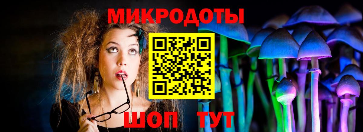 Галлюциногенные грибы Северобайкальск